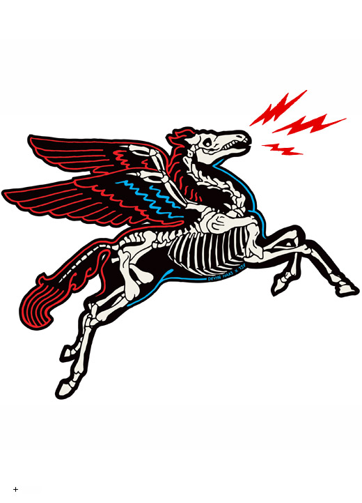 DevynHaas